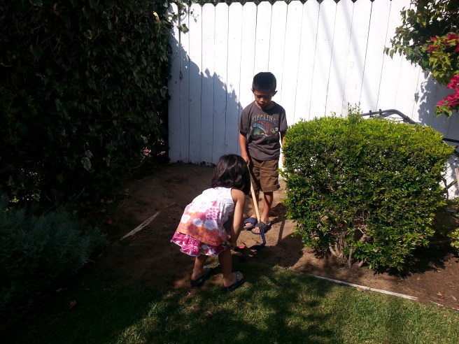 digging in the backyard