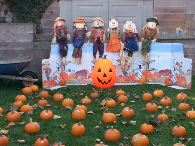 preschool pumpkin patch